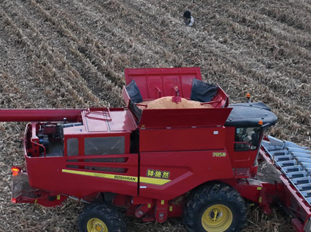 BG大游集团4YL-13 /4LZ-18型谷物收获机