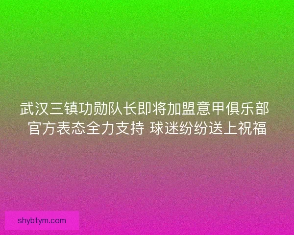 武汉三镇功勋队长即将加盟意甲俱乐部 官方表态全力支持 球迷纷纷送上祝福