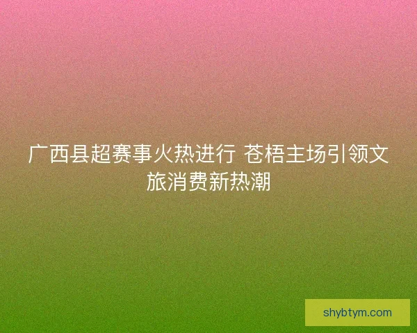 广西县超赛事火热进行 苍梧主场引领文旅消费新热潮